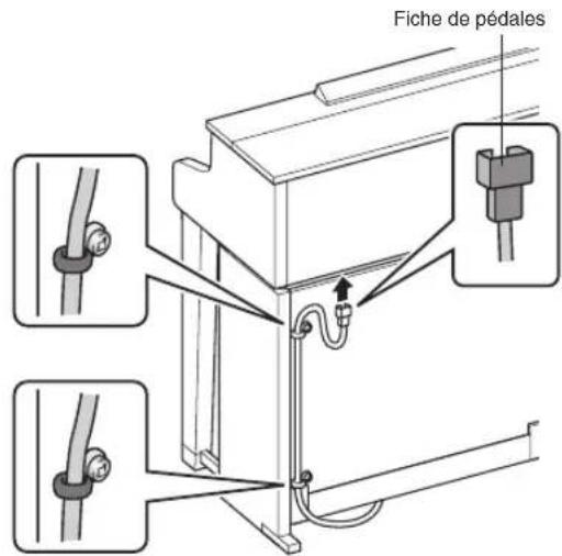 CASIO Celviano GP400 - ■Utilisation du clip Ⓕ - 3