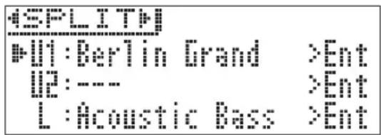 CASIO Celviano GP400 - REMARQUE - 1
