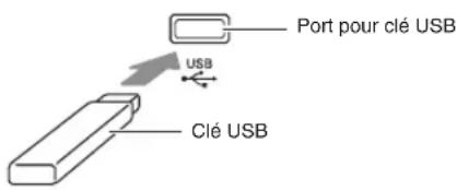 CASIO Celviano GP400 - ■Pour insérer une clé USB - 1