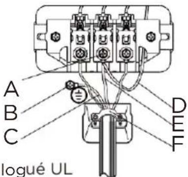 Avanti SED67D0W - 4- Connexions du système filaire - 1