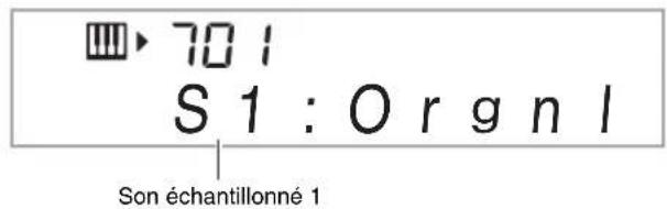 701 S 1 : Org n l Son échantillonné 1