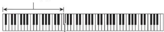 CASIO CDP240R - ■CASIO CHORD - 2