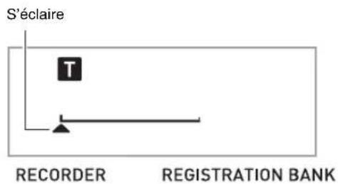 S'éclaire T RECORDER REGISTRATION BANK