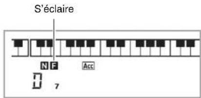 S'éclaire NF Acc 7