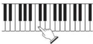 CASIO CDP240R - Essayez de jouer quelque chose sur le clavier. Utilisez ① pour régler le volume. - 1