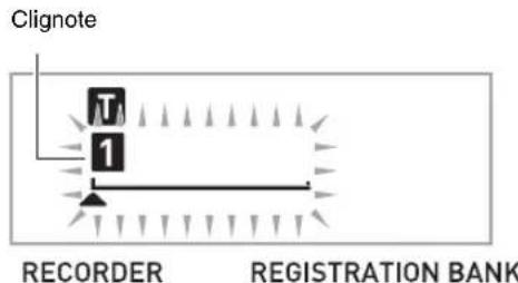 Clignote T 1 RECORDER REGISTRATION BANK