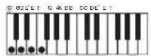 CASIO CDP240R - ■CASIO CHORD - 6