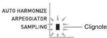 AUTO HARMONIZE ARPEGGIATOR SAMPLING Clignote