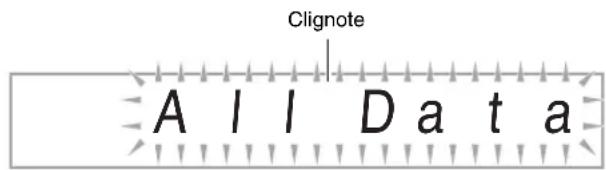 CASIO CDP240R - IMPORTANT! - 2