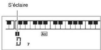 S'éclaire Acc 7