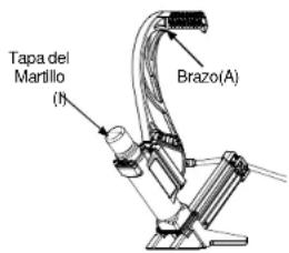 Tapa del Martillo (I) Brazo(A)