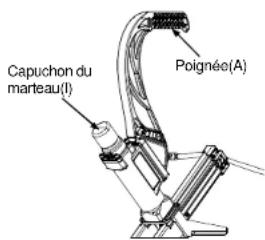 Capuchon du marteau(I) Poignéo(A)