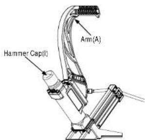 Hammer Cap(I) Arm(A)
