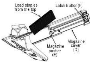 Load staples from the top Latch Button(F) Magazine pusher (E) Magazine cover (D)