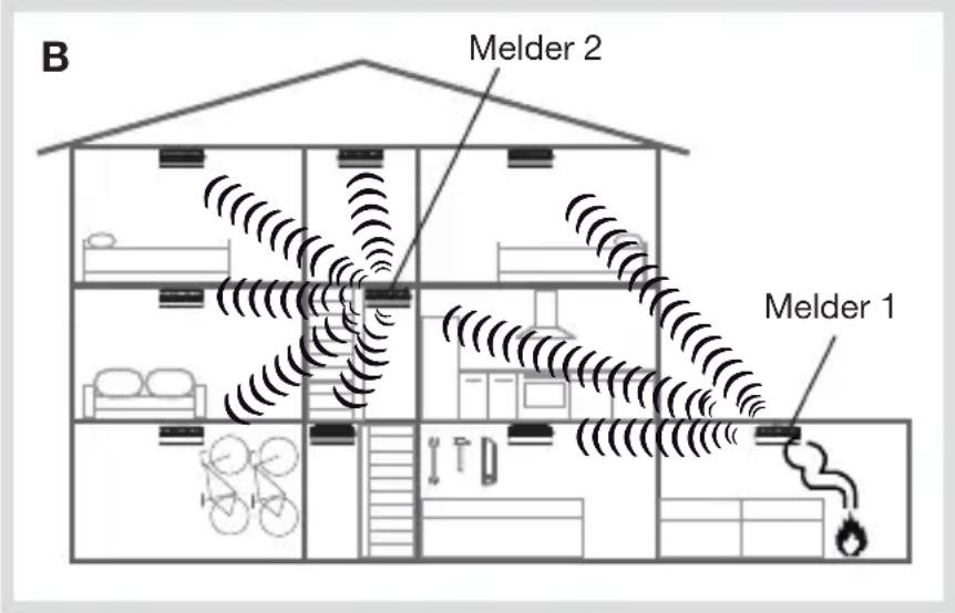 HAGER TG551A - Voorbeelden: - 2