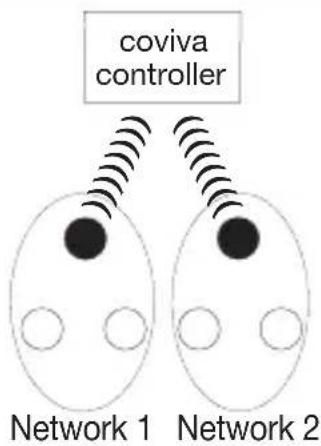 HAGER TG551A - Principle of networking with the coviva controller - 2