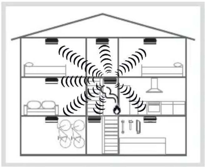 HAGER TG551A - Installazione del rivelatore in rete - 1