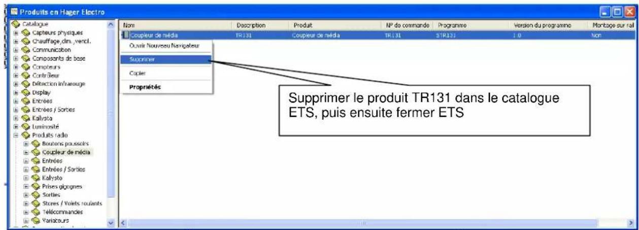 HAGER TR131A - Méthode TR131A Plugin Version à V 1\_1\_0 - 3