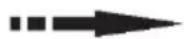 CANDY CSC818EXWD - FREEZER - 2