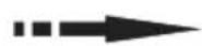CANDY CSC818EXWD - Refrigerator compartment settings - 3