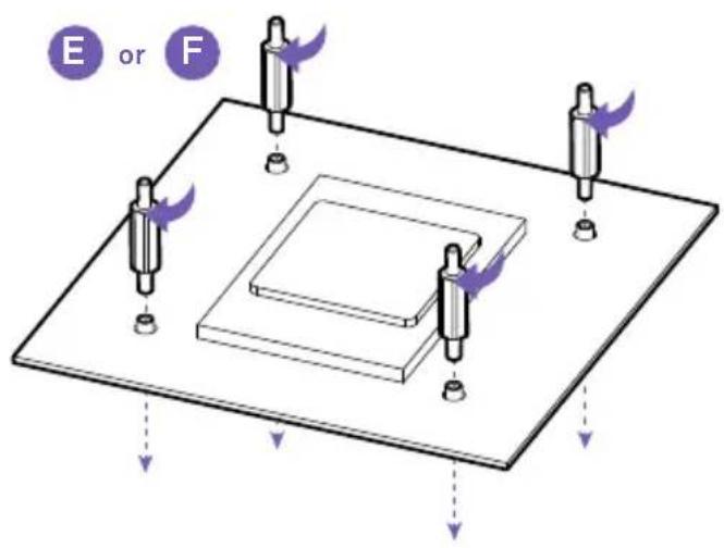 E or F