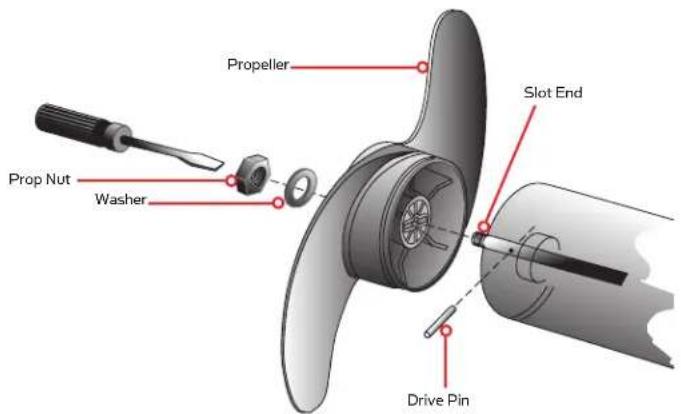 Minn Kota Terrova - Disconnect the motor from the battery before beginning any prop work or maintenance. - 1