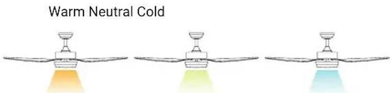 Warm Neutral Cold