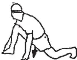 Christopeit ET 6 Pro - Exercices d'échauffement (Warm Up) - 4