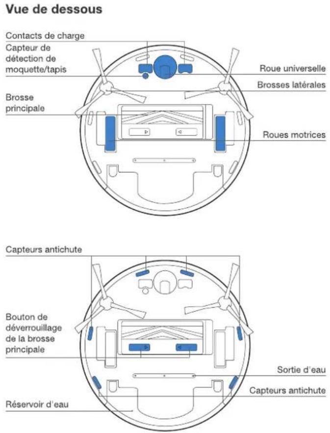 Vue de dessous Contacts de charge Capteur de détection de moquette/tapis Brosse principale Roue universelle Brosses latérales Roues motrices Capteurs antichute Bouton de déverrouillage de la brosse principale Sortie d'eau Réservoir d'eau Capteurs antichute