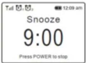 Audizio Naples - Stopping Alarm/Activate the Snooze function - 1