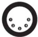Eurolite DMX Split 6X - Belegung der XLR-Verbindung: - 4