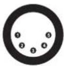 Eurolite DMX Split 6X - Clavija XLR incorporada: - 1