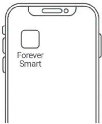 Forever Smart