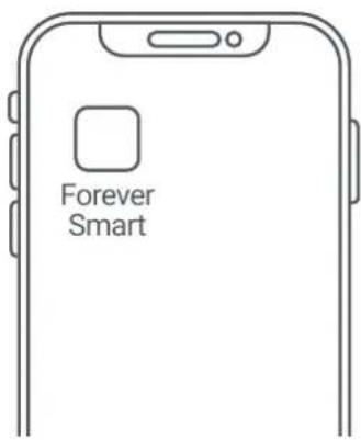 Forever Smart