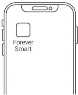 Forever Smart