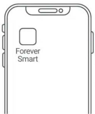 Forever Smart