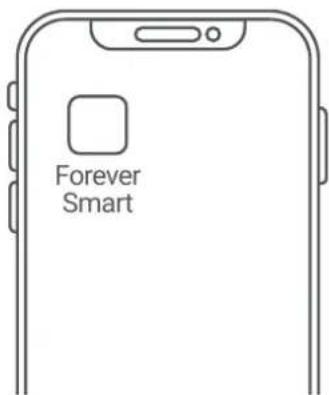 Forever Smart