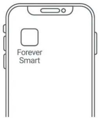 Forever Smart