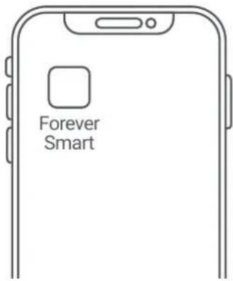 Forever Smart