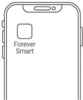 Forever Smart