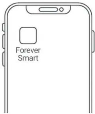 Forever Smart