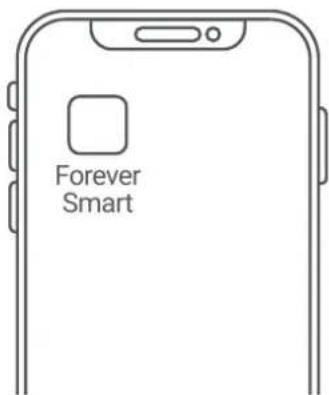 Forever Smart