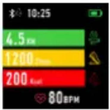 10:25 4.5 km 1200 km 200 km 80 BPM
