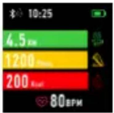 10:25 4.5 km 1200 km 200 km 80 BPM