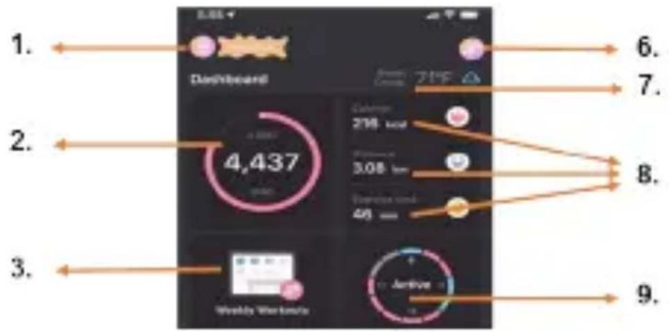 1. Dashboard 2. 4,437 3. Weekly Workouts 6. 7. 8. 9.