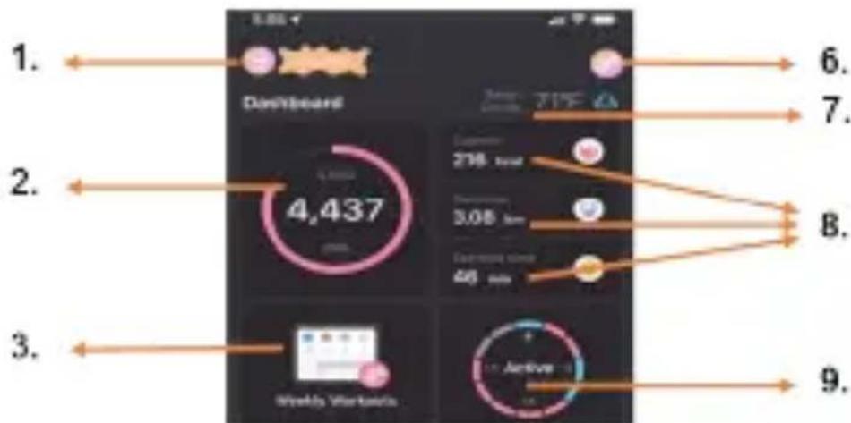 1. DyneScore 2. 4,437 3. Weekly Workouts 6. 7. 8. 9.