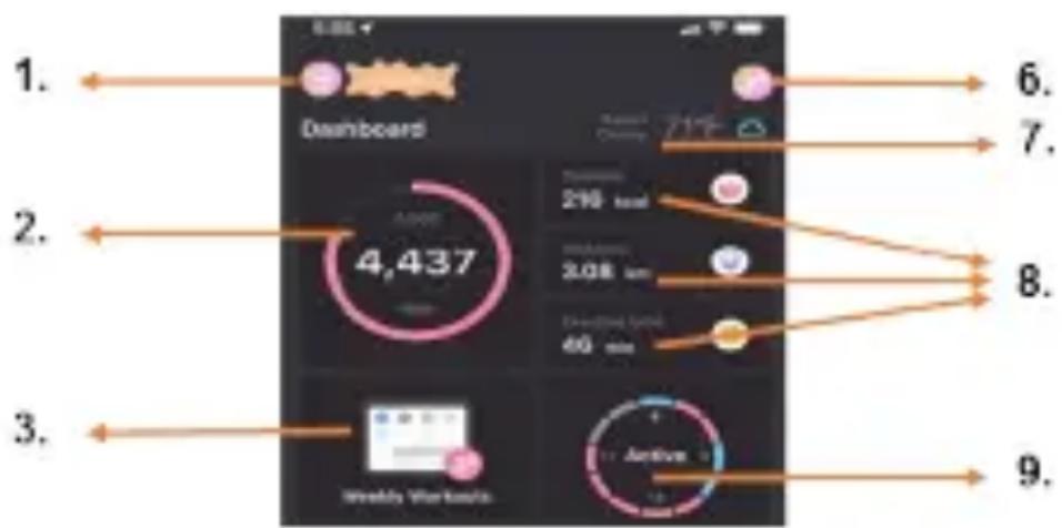1. Dashboard 2. 4,437 216 mm 2.08 um 40 mm 3. Weekly Workouts 9. 6. 7. 8. 9.