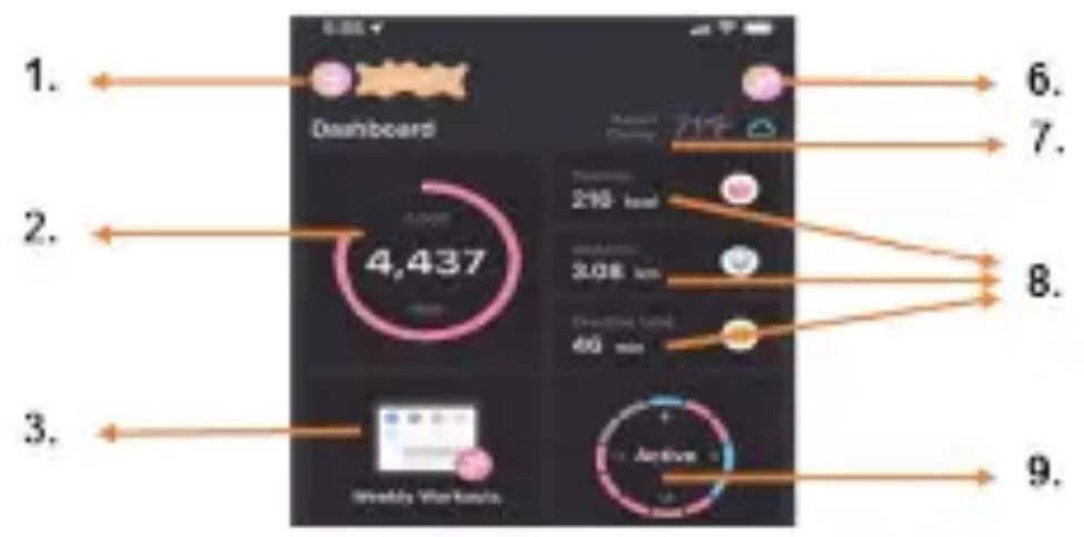 1. Dashboard 2. 4,437 210 km 2.08 km 40 min 3. Weekly Workouts Active 6. 7. 8. 9.