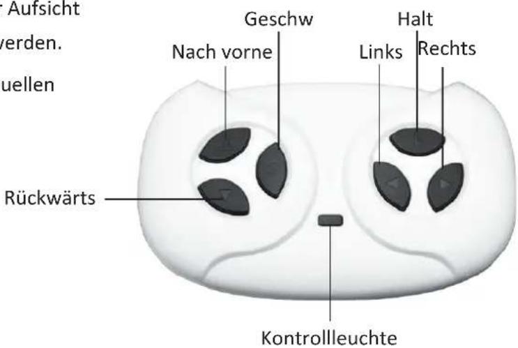 Merax TX295531 - Fernbedienungsfunktion und Erklärung - 1