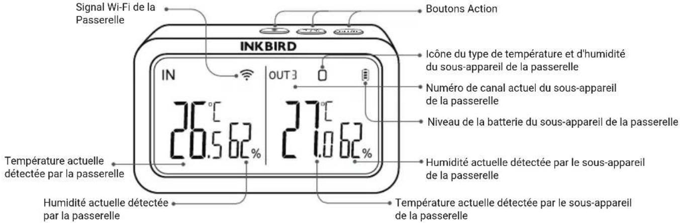 Inkbird IBSP02R - Introduction du Produkt - 1